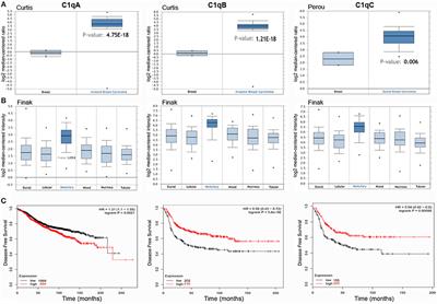 Is the Complement Protein C1q a Pro- or Anti-tumorigenic Factor? Bioinformatics Analysis Involving Human Carcinomas